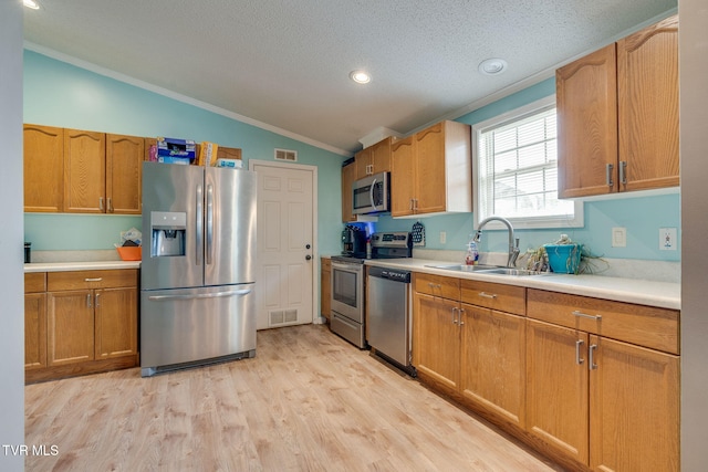 1734 Clear Springs Rd, Limestone, TN 37681 - kitchen with stainless steel appliances, ornamental molding, vaulted ceiling, a sink, and light countertops