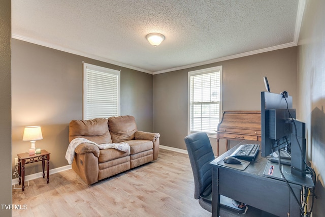 1734 Clear Springs Rd, Limestone, TN 37681 - home office featuring ornamental molding, light wood finished floors, baseboards, and a textured ceiling
