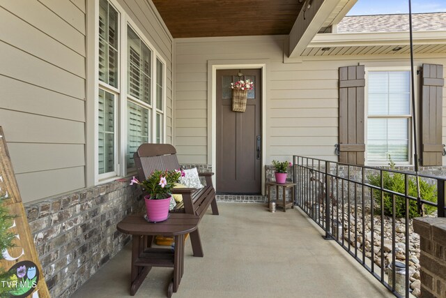 1517 Conestoga Pass, Johnson City, TN 37601 - photo 57