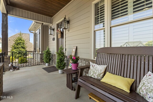 1517 Conestoga Pass, Johnson City, TN 37601 - photo 58