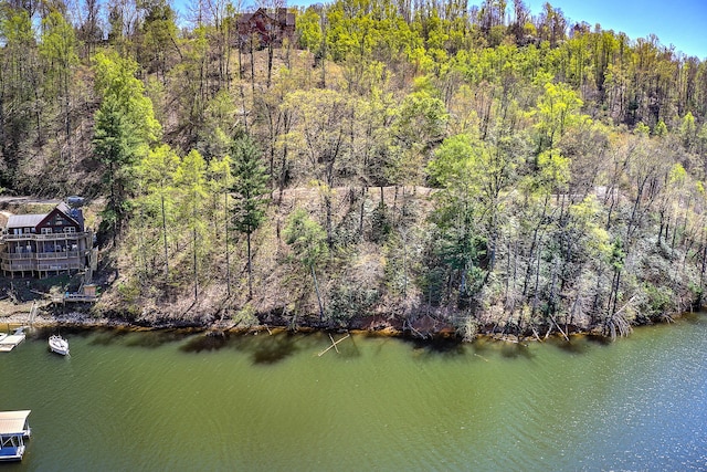 Two Coves Edge Drive, Butler, TN 37640
