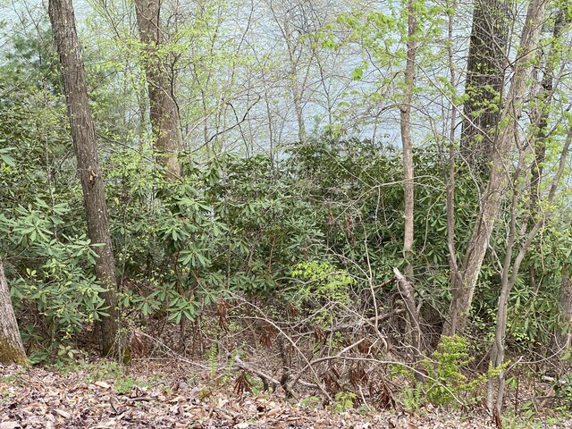 Two Coves Edge Drive, Butler, TN 37640