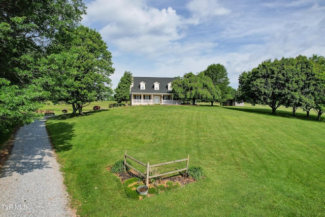 2361 Old Stage Rd, Afton, TN 37616 - view of green lawn