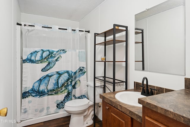 364 Berry Ridge Rd, Jonesborough, TN 37659 - full bathroom featuring vanity, toilet, curtained shower, and wood finished floors