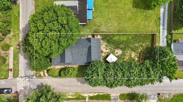 1200 Grover St, Johnson City, TN 37601 - photo 32