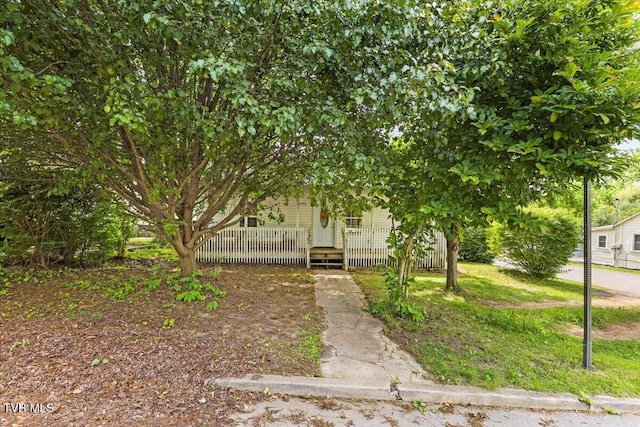 1200 Grover St, Johnson City, TN 37601 - photo 4