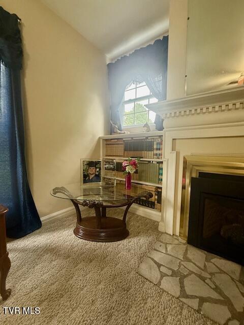 1000 King Springs Rd, Johnson City, TN 37601 - photo 22