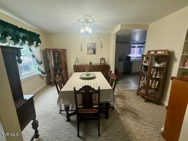 1000 King Springs Rd, Johnson City, TN 37601 - photo 23