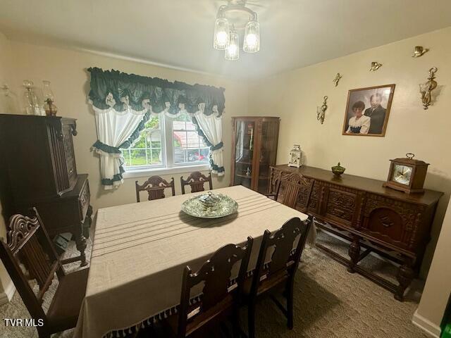 1000 King Springs Rd, Johnson City, TN 37601 - photo 26