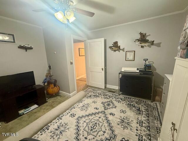 1000 King Springs Rd, Johnson City, TN 37601 - photo 35