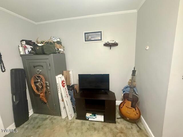 1000 King Springs Rd, Johnson City, TN 37601 - photo 37