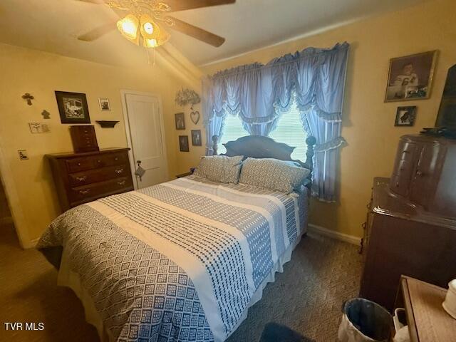 1000 King Springs Rd, Johnson City, TN 37601 - photo 43