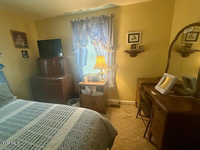 1000 King Springs Rd, Johnson City, TN 37601 - photo 44
