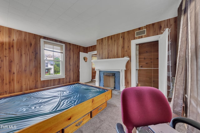 1275 Chuckey Pike, Chuckey, TN 37641 - recreation room with wood walls, carpet floors, and a fireplace