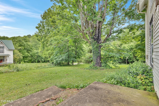 1275 Chuckey Pike, Chuckey, TN 37641 - view of grassy yard