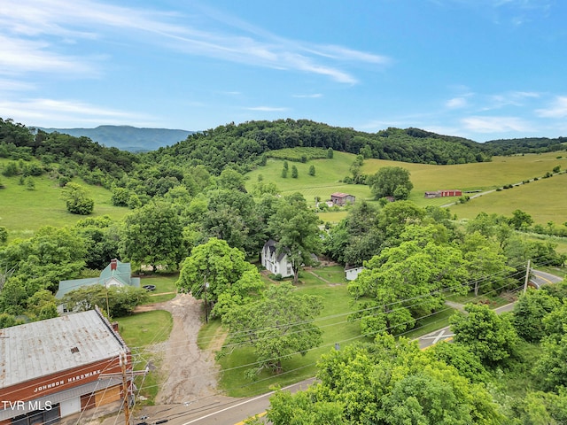 1275 Chuckey Pike, Chuckey, TN 37641 - aerial view