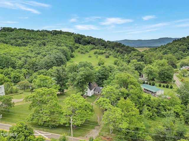 1275 Chuckey Pike, Chuckey, TN 37641 - drone / aerial view of a forest and mountains