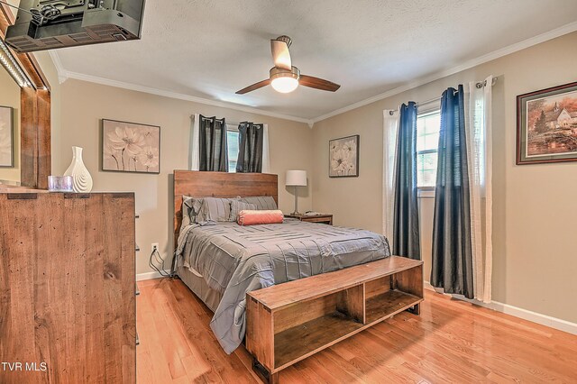 205 Live Oak Dr, Kingsport, TN 37660 - bedroom featuring ornamental molding, light wood-type flooring, baseboards, and a ceiling fan