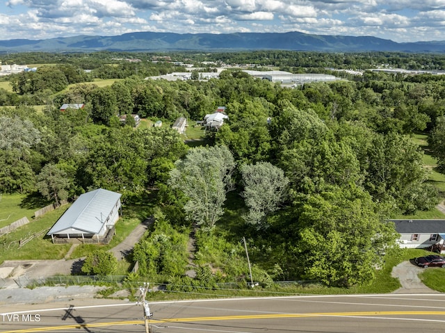 Tbd Kingsport Highway, Greeneville, TN 37745