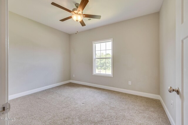 149 Laurel Cyn, Johnson City, TN 37615 - photo 23
