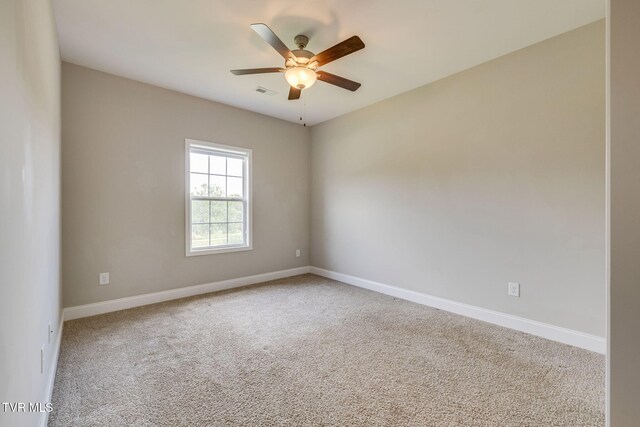 149 Laurel Cyn, Johnson City, TN 37615 - photo 28