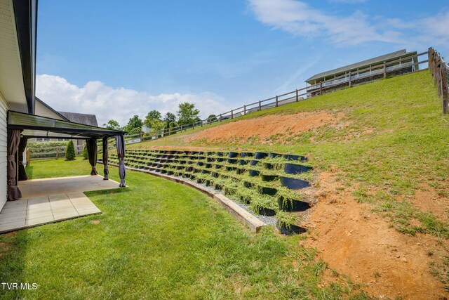 149 Laurel Cyn, Johnson City, TN 37615 - photo 34