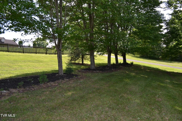 290 Kinchloe Mill Rd, Jonesborough, TN 37659 - view of yard