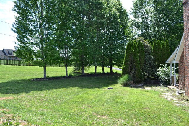 290 Kinchloe Mill Rd, Jonesborough, TN 37659 - view of yard