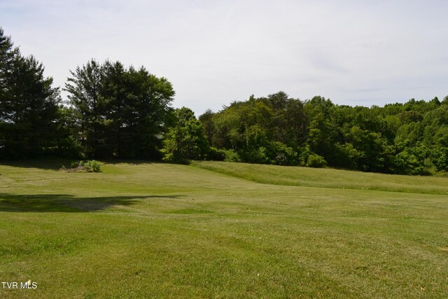 290 Kinchloe Mill Rd, Jonesborough, TN 37659 - view of community featuring a yard