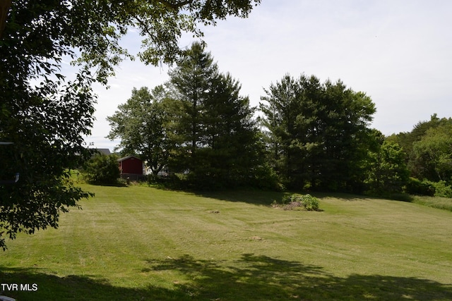 290 Kinchloe Mill Rd, Jonesborough, TN 37659 - view of green lawn