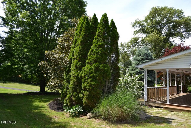 290 Kinchloe Mill Rd, Jonesborough, TN 37659 - view of green lawn with a deck