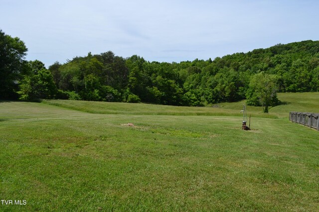 290 Kinchloe Mill Rd, Jonesborough, TN 37659 - view of home's community with a lawn