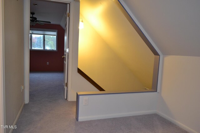 290 Kinchloe Mill Rd, Jonesborough, TN 37659 - hallway featuring carpet and baseboards