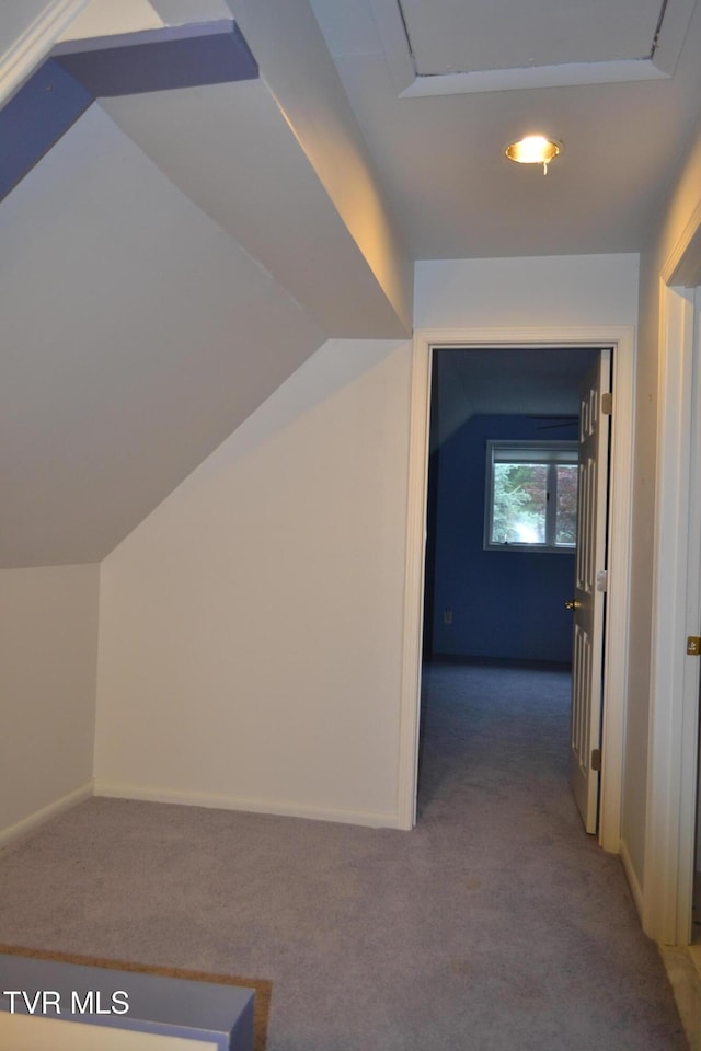 290 Kinchloe Mill Rd, Jonesborough, TN 37659 - additional living space featuring carpet and baseboards