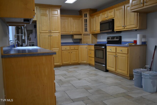 290 Kinchloe Mill Rd, Jonesborough, TN 37659 - kitchen featuring stainless steel electric stove, dark countertops, glass insert cabinets, and a sink