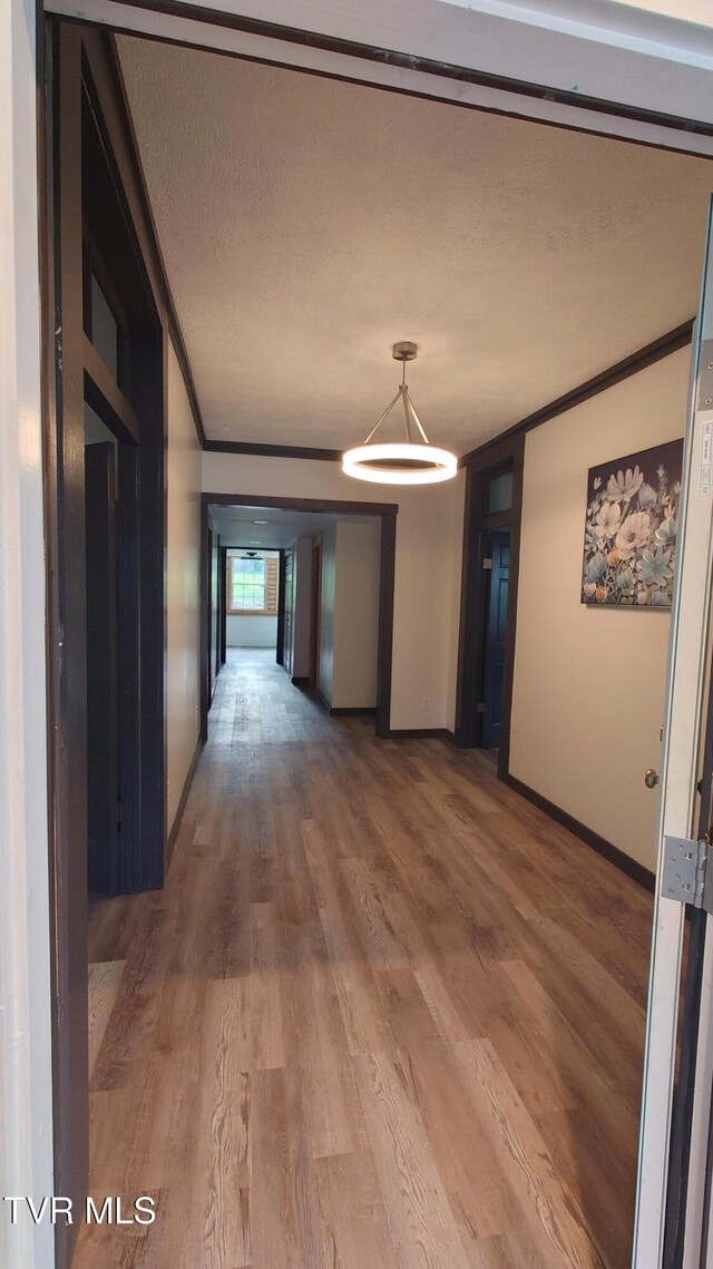 616 6th St, Bristol, TN 37620 - hall featuring ornamental molding, wood finished floors, baseboards, and a textured ceiling