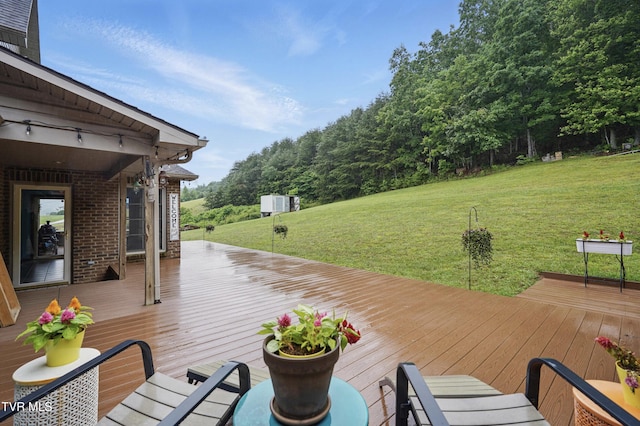 1124 Elizabethton Hwy, Bluff City, TN 37618 - photo 41