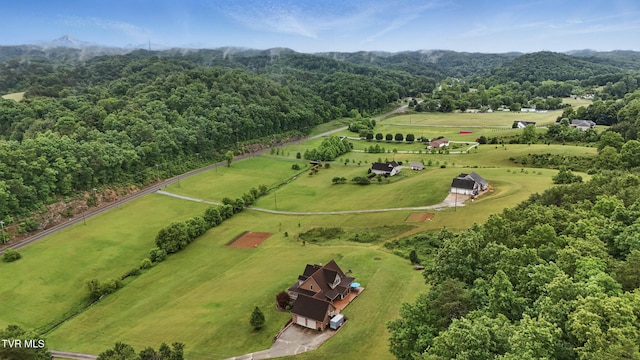 1124 Elizabethton Hwy, Bluff City, TN 37618 - photo 53