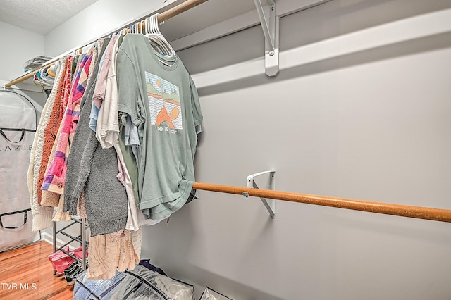 220 Amanda Ln Unit 2, Bristol, TN 37620 - walk in closet featuring wood finished floors