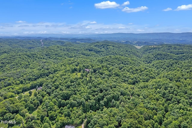 18549 Landridge Way, Abingdon, VA 24211 - drone / aerial view of a heavily wooded area and mountains