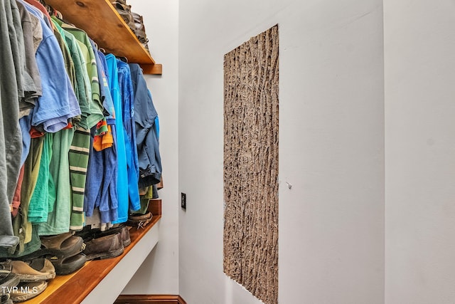 18549 Landridge Way, Abingdon, VA 24211 - view of spacious closet
