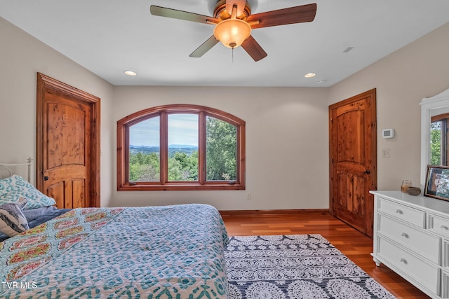 18549 Landridge Way, Abingdon, VA 24211 - bedroom with wood finished floors, recessed lighting, a ceiling fan, and baseboards