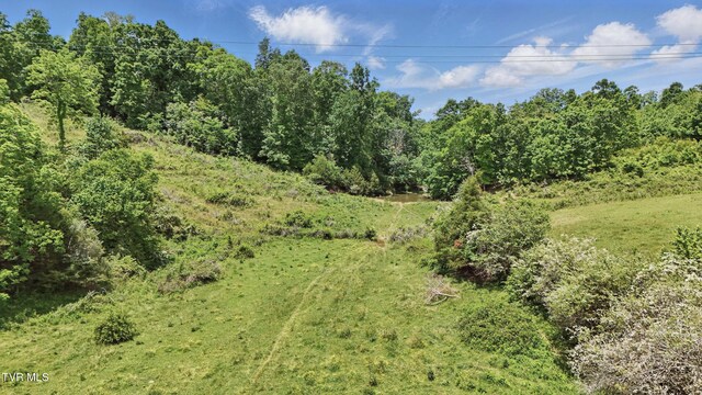 TBD Old Baxter Rd, Fall Branch, TN 37656