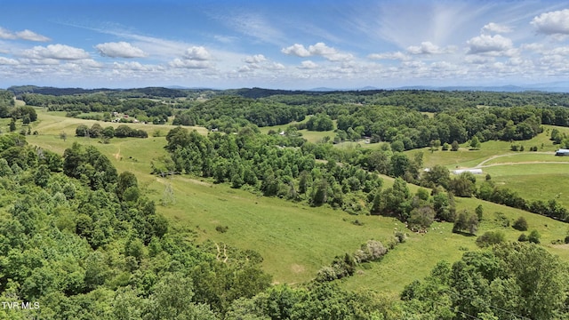 TBD Old Baxter Rd, Fall Branch, TN 37656