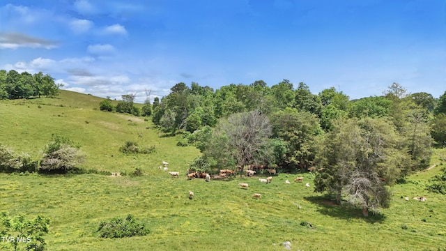 TBD Old Baxter Rd, Fall Branch, TN 37656