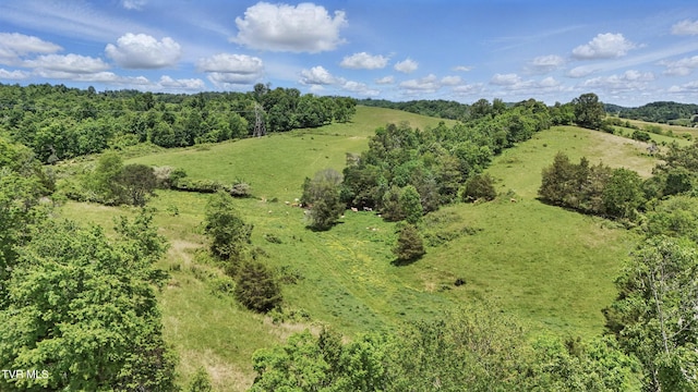 TBD Old Baxter Rd, Fall Branch, TN 37656