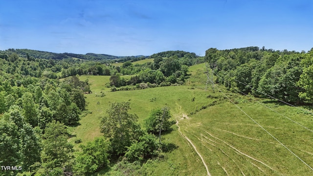 TBD Old Baxter Rd, Fall Branch, TN 37656
