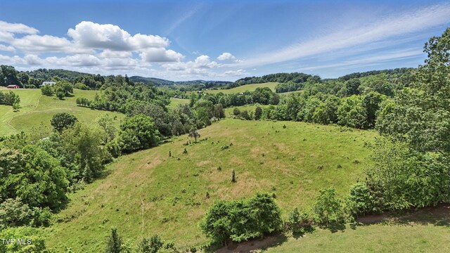 TBD Old Baxter Rd, Fall Branch, TN 37656