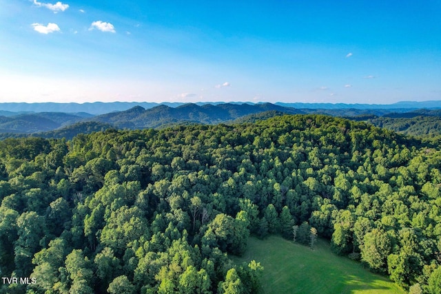 TBD Reedy Creek Rd, Bristol, VA 24202