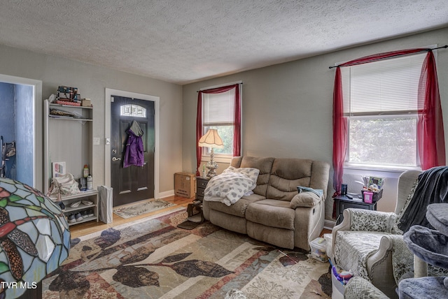 1321 Pineola Ave, Kingsport, TN 37664 - living room featuring wood finished floors, a textured ceiling, and baseboards